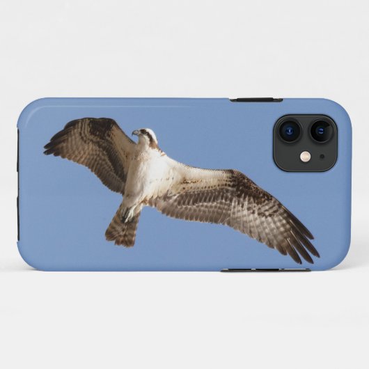 iPhone 11 hoesje met visarend (Achterkant (horizontaal))