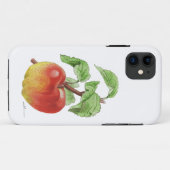 iPhone 11 Hoesje "Pomme Jeanne Hardy" (Achterkant (horizontaal))