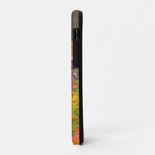 Iphone 11 Pro Hoesje West Virginia Country Road (Achterkant/links)