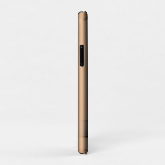 iPhone 11 Pro Hoesjes (Achterkant/rechts)