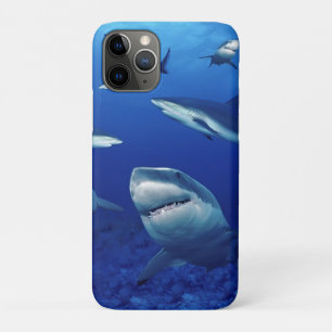 iPhone 11Pro Hoesje-haaien Case-Mate iPhone Case