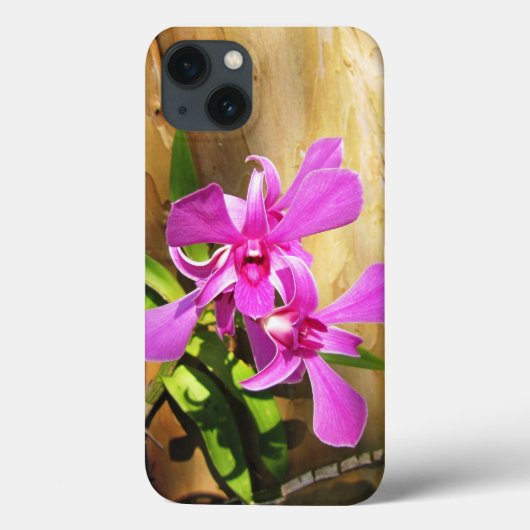 iPhone 13 Hoesje roze orchideeën (Achterkant)