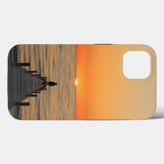 iPhone 13 Hoesjes (Achterkant (horizontaal))