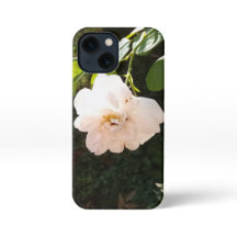 IPhone 13 Mini-Hoesjes