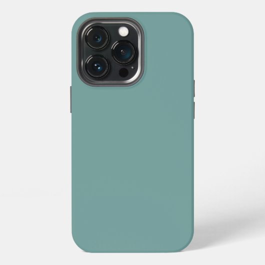 iPhone 13 pro hoes  Hoesje (Achterkant)