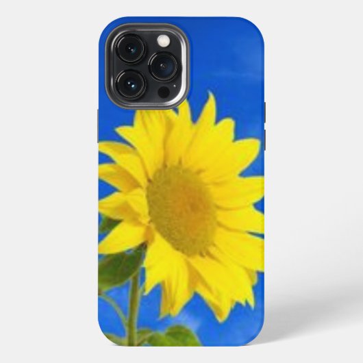 iPhone 13 pro max hoesje (Achterkant)