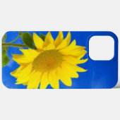 iPhone 13 pro max hoesje (Achterkant (horizontaal))