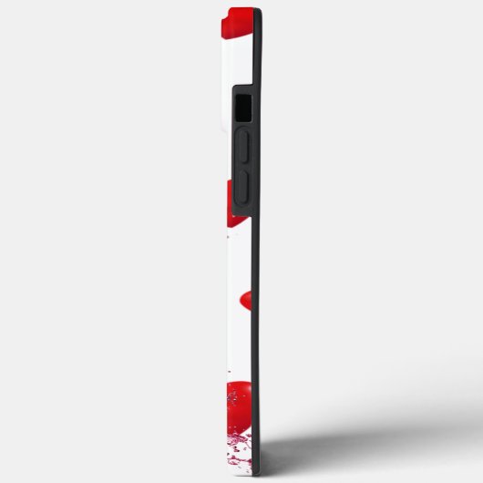 iPhone 13 Pro Max. Hoesjes (Achterkant / Links)