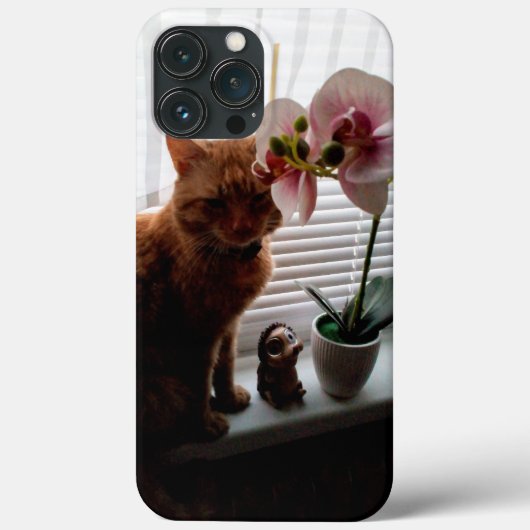 IPhone 13 Pro Max Hoesjes voor kattenliefhebbers (Achterkant)
