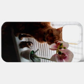 IPhone 13 Pro Max Hoesjes voor kattenliefhebbers (Achterkant (horizontaal))