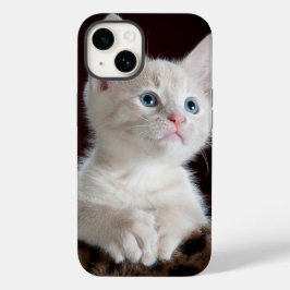 iphone 14 hoesjes kattenliefde
