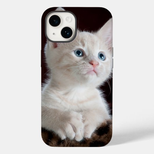 iphone 14 hoesjes kattenliefde (Achterkant)