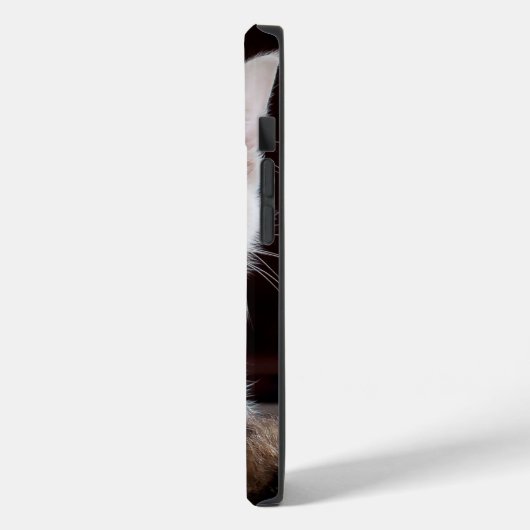 iphone 14 hoesjes kattenliefde (Achterkant / Links)