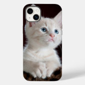 iphone 14 hoesjes plus kattenliefde (Achterkant)