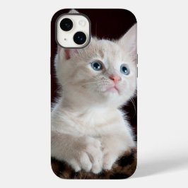 iphone 14 hoesjes plus kattenliefde