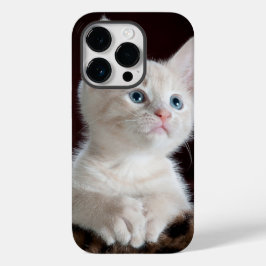 iphone 14 hoesjes pro kattenliefde