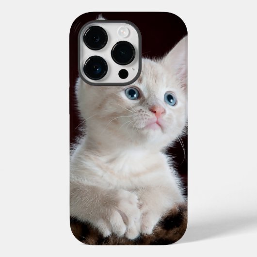 iphone 14 hoesjes pro kattenliefde (Achterkant)