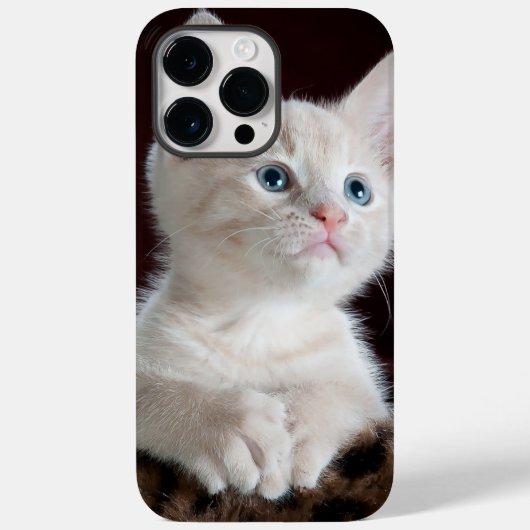 iphone 14 hoesjes pro max kattenliefde (Achterkant)