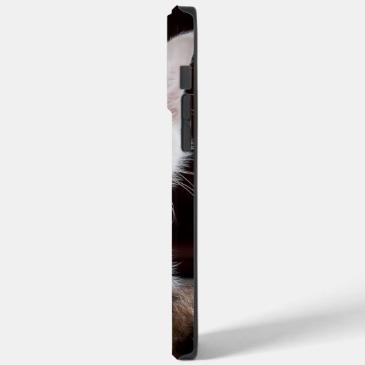 iphone 14 hoesjes pro max kattenliefde (Achterkant / Links)