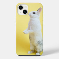 iphone 14 konijnenhoesjes plus