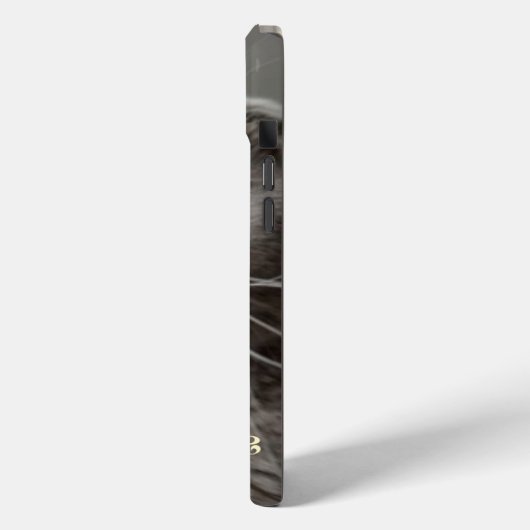 IPhone 15 plus hoesje met grappige kat (Achterkant / Links)