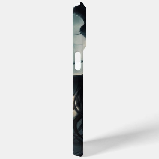 iPhone 15 Pro Max Hoesjes - Zwarte Hoeden 5 (Achterkant / Rechts)