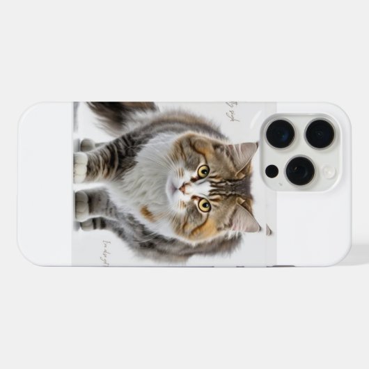 IPhone 15 pro max: kattenhoesontwerp iPhone Hoesje (Achterkant horizontaal)