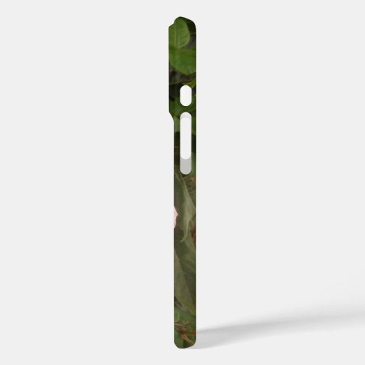 iPhone 16 case (Achterkant / Links)