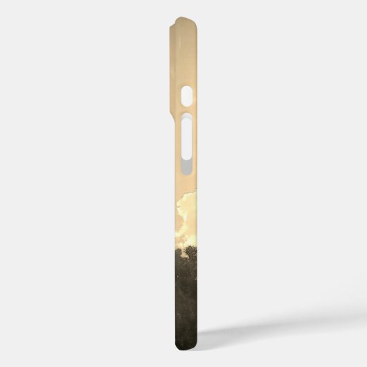 iPhone 16 case (Achterkant / Links)