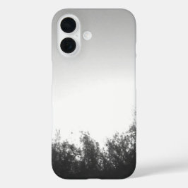 iPhone 16 hoes