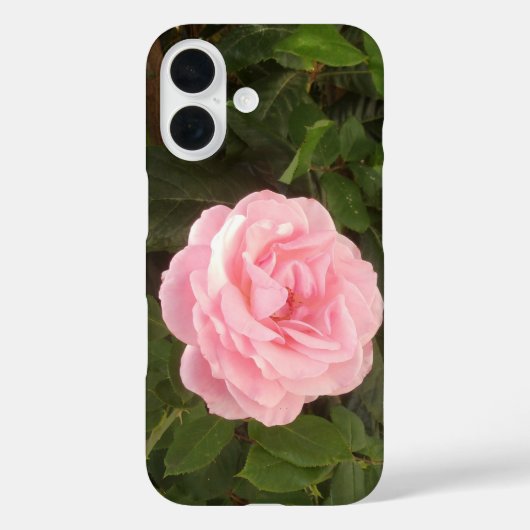 iPhone 16 hoesje (Achterkant)