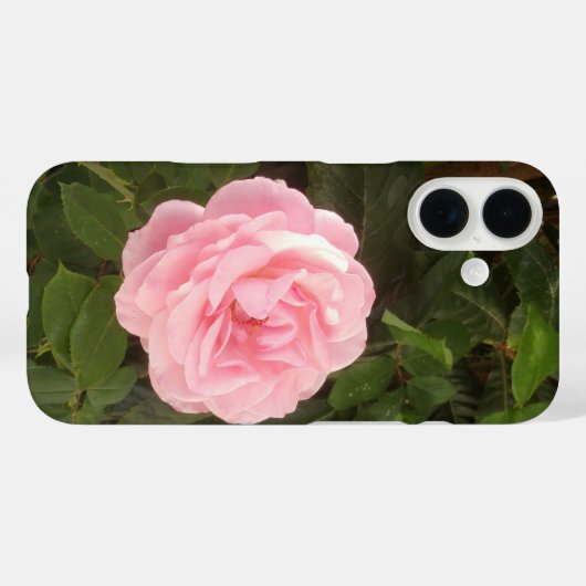 iPhone 16 hoesje (Achterkant (horizontaal))