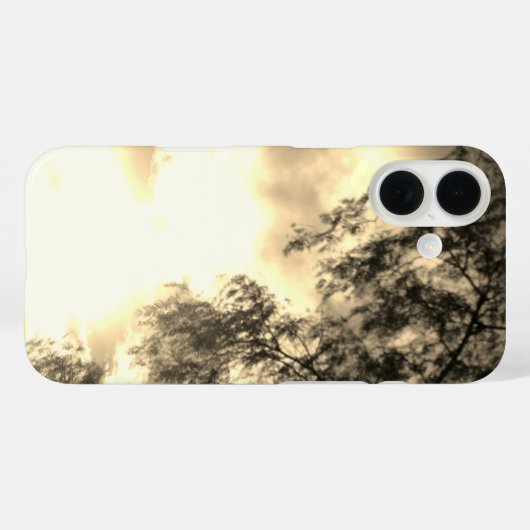 iPhone 16 hoesje (Achterkant (horizontaal))