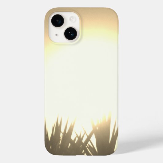 iPhone 16 hoesje (Achterkant)