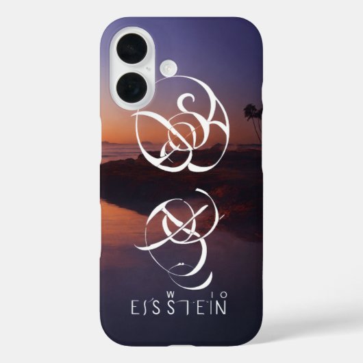 iPhone 16 Hoesjes (Achterkant)