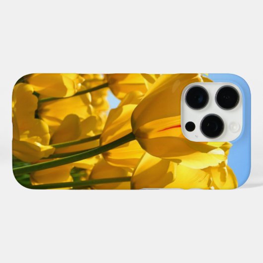 IPHONE 16 PRO Case-Mate iPhone CASE (Achterkant (horizontaal))