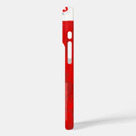 iPhone 16 Pro Hoesjes (Achterkant / Links)