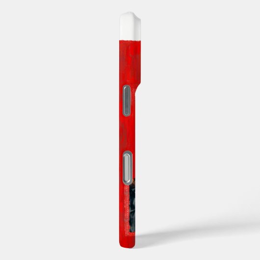 iPhone 16 Pro Hoesjes (Achterkant / Rechts)