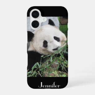 iPhone 5, 5S, SE Tough Xtreme Hoesje Giant Panda iPhone 16 Hoesje