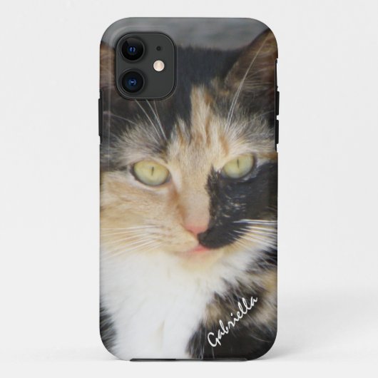 iPhone 5: Hoesje aangepast Calico-Kat (Achterkant)