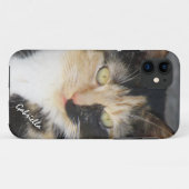 iPhone 5: Hoesje aangepast Calico-Kat (Achterkant (horizontaal))