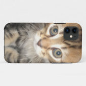 Iphone 5 Hoesje - Kitten (Achterkant (horizontaal))