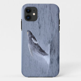 Iphone 5 Hoesje-maat Humpback Whale breekt iPhone 11 Hoesje