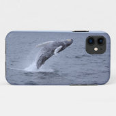Iphone 5 Hoesje-maat Humpback Whale breekt Case-Mate iPhone Case (Achterkant (horizontaal))