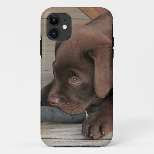 Iphone 5 hoesje met chocolade Labrador-rekruter (Achterkant)