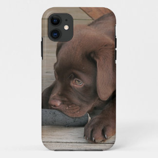 Iphone 5 hoesje met chocolade Labrador retriever