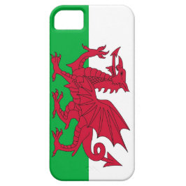 IPhone 5 Hoesje met de vlag van Wales