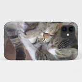 iPhone 5-hoesje met kittens Case-Mate iPhone Case (Achterkant (horizontaal))