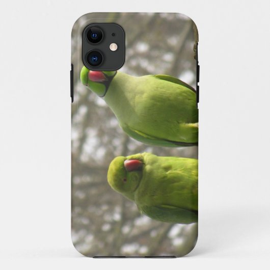 iPhone 5 hoesje met nieuwsgierige paraketten (Achterkant)