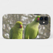 iPhone 5 hoesje met nieuwsgierige paraketten (Achterkant (horizontaal))